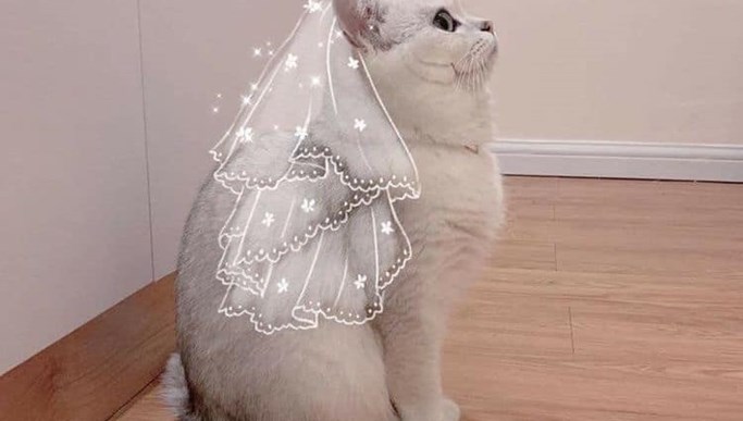 cat1-20210622142037.jpg Mua nhà