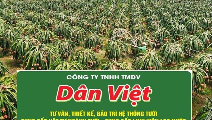 he-thong-tuoi-thanh-long-20190209103330.jpg Hệ thống tưới nhỏ giọt của Dân Việt